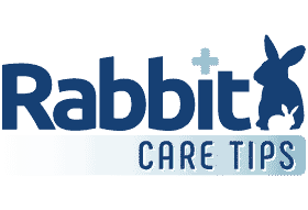 Rabbit_Care_Tips_logo