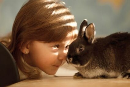 What are the benefits of having a bunny?