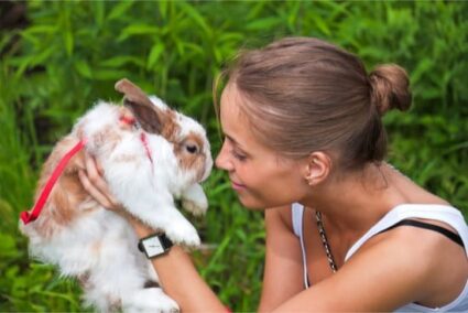 can rabbits live outside all year round?