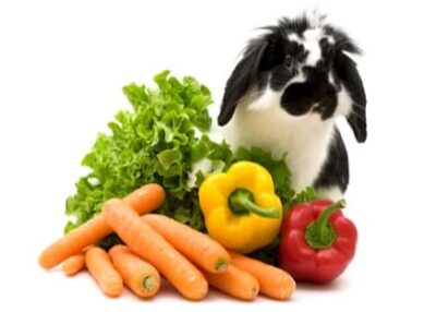 can rabbits eat green and red peppers