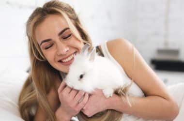can rabbits understand humans?