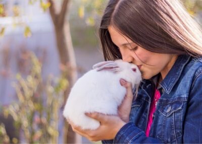 do rabbits understand kisses?