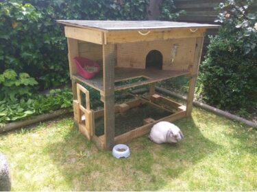 rabbit cage and stand