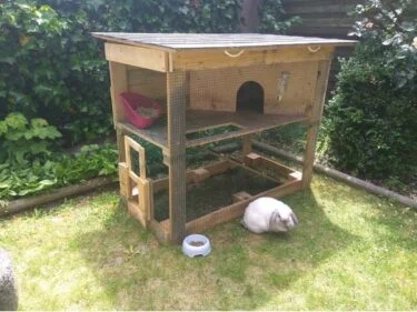 how to prepare a rabbit hutch