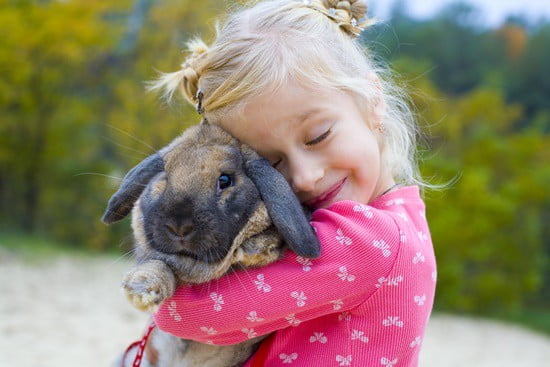 are rabbits affectionate?