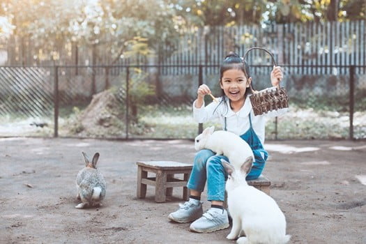 diy rabbit enrichment