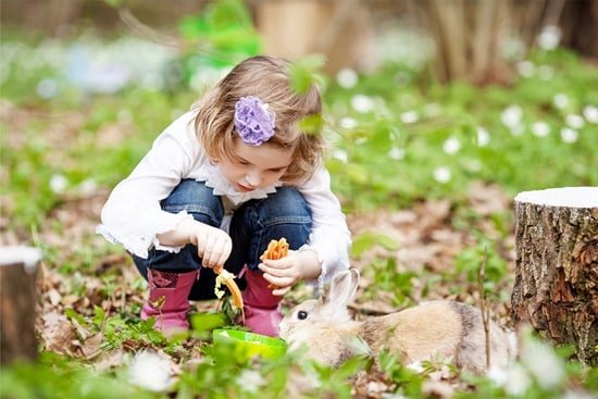 stimulation for rabbits