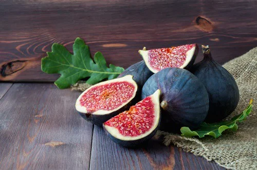 Can You Feed Figs to Rabbits?