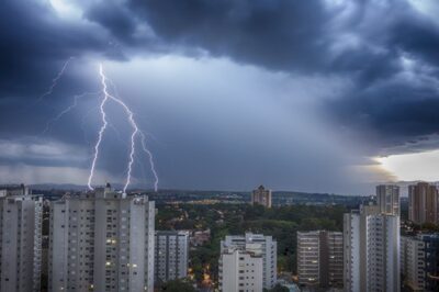 are rabbits afraid of thunder?