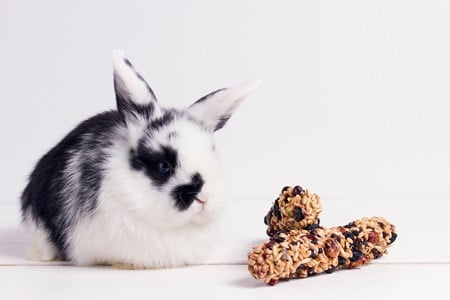 Can rabbits eat dry cereal?