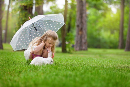 do pet rabbits like rain?