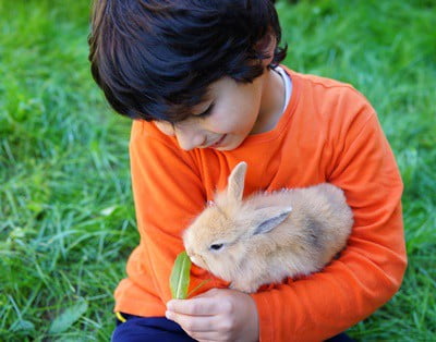 feeding rabbit mint leaves