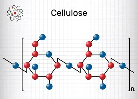 how do rabbits break down cellulose?