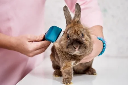 how to remove mats from rabbit fur