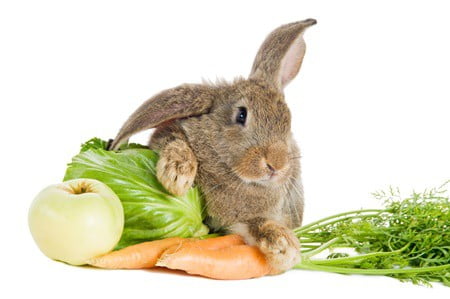 low calcium vegetables for rabbits