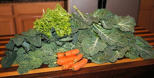 are collard greens good for rabbits?