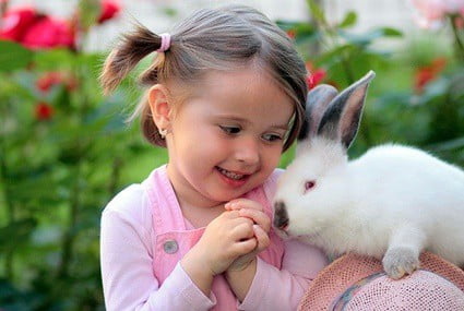 do rabbits understand human language?