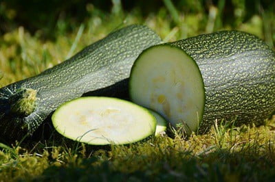 are rabbits allowed to eat zucchini?