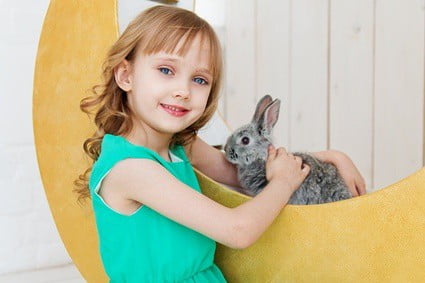 do rabbits bond with humans?