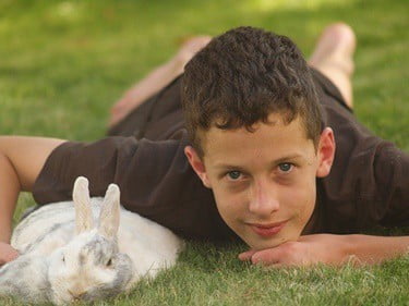 why does my rabbit dig on my chest?