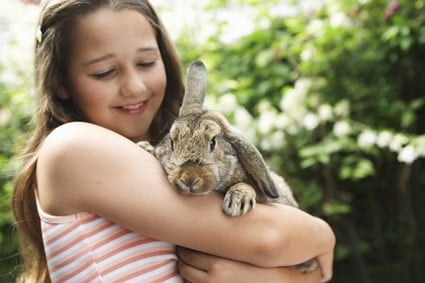 do rabbits like getting stroked?