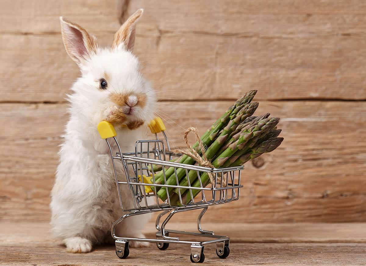 Bunny shopping asparagus