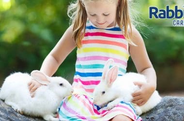 Rabbits as pets for kids